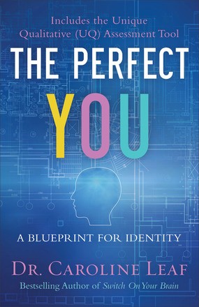 Imagen del vendedor de The Perfect You: A Blueprint for Identity a la venta por ChristianBookbag / Beans Books, Inc.