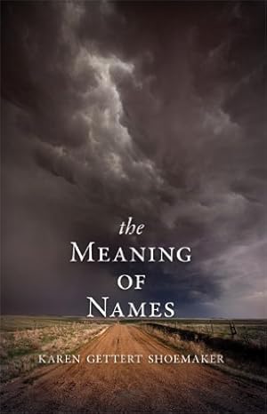Seller image for The Meaning of Names by Shoemaker, Karen [Paperback ] for sale by booksXpress