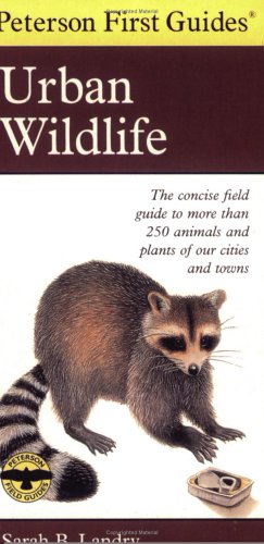 Seller image for Peterson First Guide to Urban Wildlife by Landry, Sarah B. [Paperback ] for sale by booksXpress