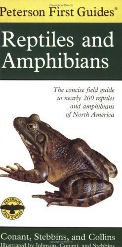 Imagen del vendedor de Peterson First Guide to Reptiles and Amphibians by Stebbins, Robert C., Peterson, Roger Tory, Conant, Roger [Paperback ] a la venta por booksXpress