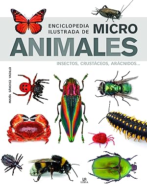 Enciclopedia Ilustrada de Micro Animales Insectos, Crustáceos, Arácnidos.