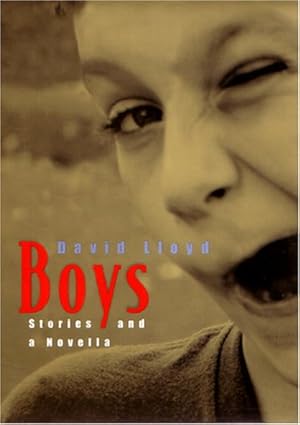 Imagen del vendedor de Boys: Stories and a Novella by Lloyd, David [Hardcover ] a la venta por booksXpress