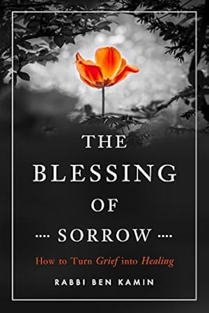 Seller image for The Blessing of Sorrow: Turning Grief into Healing by Kamin, Rabbi Ben [Paperback ] for sale by booksXpress