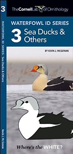 Image du vendeur pour The Cornell Lab of Ornithology Waterfowl ID 3 Sea Ducks & Others (Waterfowl ID Series) by McGowan, Kevin J., Press, Waterford [Pamphlet ] mis en vente par booksXpress