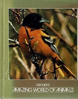 Seller image for Amazing World Of Animals for sale by Marlowes Books and Music