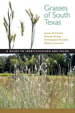 Seller image for Grasses of South Texas: A Guide to Identification and Value (Grover E. Murray Studies in the American Southwest) by Everitt, James H., Drawe, D. Lynn, Little, Christopher R., Lonard, Robert I. [Paperback ] for sale by booksXpress