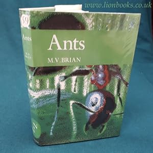 Seller image for Ants for sale by Lion Books PBFA