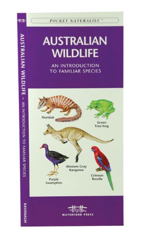 Seller image for Australian Wildlife: A Folding Pocket Guide to Familiar Species (A Pocket Naturalist Guide) by Kavanagh, James, Press, Waterford [Pamphlet ] for sale by booksXpress