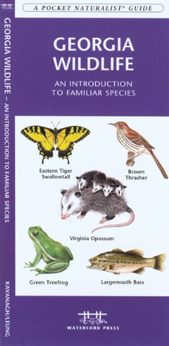 Seller image for Georgia Wildlife: A Folding Pocket Guide to Familiar Species (A Pocket Naturalist Guide) by Kavanagh, James, Press, Waterford [Pamphlet ] for sale by booksXpress