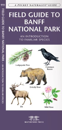 Image du vendeur pour Banff National Park, Field Guide to: A Folding Pocket Guide to Familiar Species (A Pocket Naturalist Guide) by Kavanagh, James, Press, Waterford [Pamphlet ] mis en vente par booksXpress