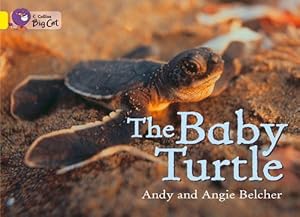 Seller image for The Baby Turtle (Collins Big Cat) by Belcher, Andy, Belcher, Angie [Paperback ] for sale by booksXpress