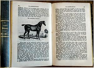 Das Pferd, seine Zucht, Behandlung, Structur, Mängel und Krankheiten, mit einer Abhandlung über d...