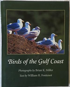 Birds of the Gulf Coast