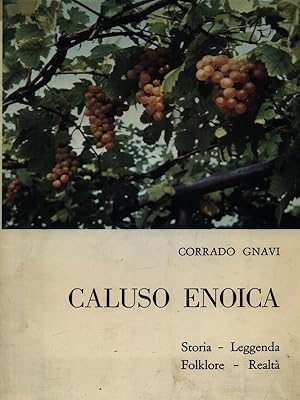 Image du vendeur pour Caluso enoica mis en vente par Librodifaccia