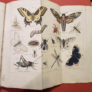 Compendio di Storia naturale compilato da Sigismondo Gaspare Fischer, dottore in medicina e chiru...