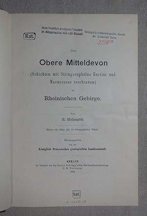 Das Obere Mitteldevon (Schichten mit Stringocephalus Burtini und Maeneceras terebratum) im Rheini...