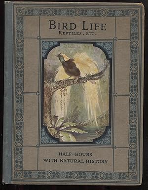 Seller image for Bird Life and Reptiles and Amphibians for sale by RT Books