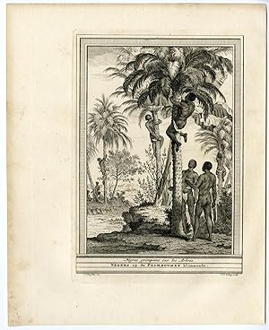 NATIVES-NEGRO-AFRICA-PALM TREE Jakob VAN DER SCHLEY after PREVOST-COCHIN, 1747