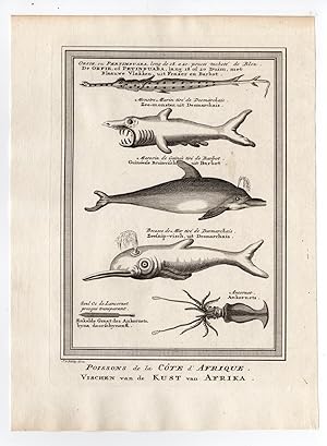 AFRICA-FISH-SHARK-DOLPHIN-SQUID 'Oissons de la Cote d'Afrique.' Jacobus SCHLEY after PREVOST, 1748
