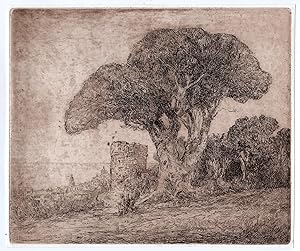 LANDSCAPE-TREE-BAY-SEASIDE 'Untitled' Etienne BOSCH, ca. 1905