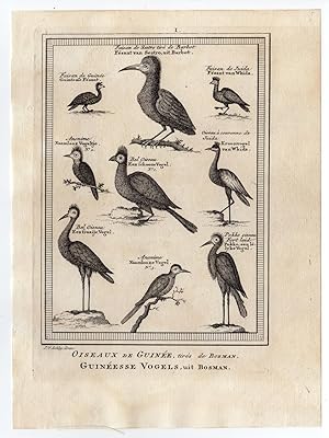 AFRICA-GUINEE-BIRDS-GUINEAFOWL 'Oiseaux de Guinee, tires de Bosman.' Jacobus SCHLEY after PREVOST...