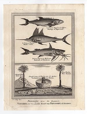 AFRICA-FISH-FETICHE-CATFISH-SWORDFISH 'Poissons tires de Barbot.' Jacobus SCHLEY after PREVOST, 1748
