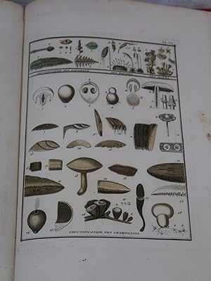 Pierre BULLIARD Dictionnaire Élémentaire de Botanique Paris: 1812