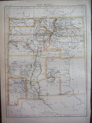 Imagen del vendedor de Antique Map of New Mexico from Encyclopaedia Britannica, Ninth Edition Vol. XVII Plate IX (1884) a la venta por Imperial Books and Collectibles