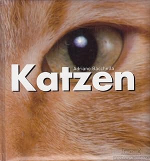 Katzen