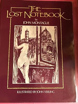 Immagine del venditore per Lost Notebook: Novel venduto da P J MCALEER