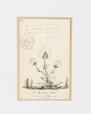 A manuscript document signed by Louis Philippe to the French Ambassador to Russia, Prosper de Bar...