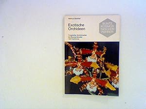 Imagen del vendedor de Exotische Orchideen. Tropische Schnheiten im Blumenfenster a la venta por ANTIQUARIAT FRDEBUCH Inh.Michael Simon