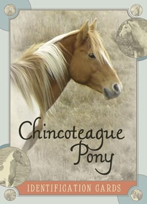 Seller image for Chincoteague Pony Identification Cards for sale by GreatBookPrices
