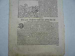 Böhmen, Böhmerwald, Meissen, anno 1580, Blatt aus der Cosmographia, Sebastian Münster -aus einer ...