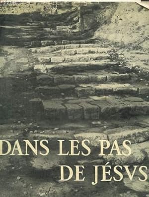 Seller image for Dans les pas de Jsus for sale by Le-Livre