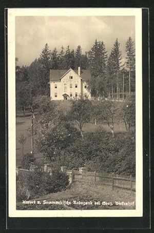 Ansichtskarte Radegund b. Graz, Sommerliche Partie mit Birkenhof