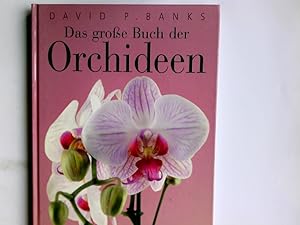 Bild des Verkufers fr Das groe Buch der Orchideen. David P. Banks. bertr. ins Dt.: Isabel Schmidt zum Verkauf von Antiquariat Buchhandel Daniel Viertel