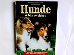 Bild des Verkufers fr Hunde richtig verstehen : alles, was Sie ber das Verhalten Ihrer Hunde wissen sollten. Horst Hegewald-Kawich. Fotos von Monika Wegler. zum Verkauf von Antiquariat Buchhandel Daniel Viertel