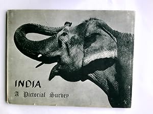 Immagine del venditore per India, A Pictorial Survey venduto da Antiquariat Buchhandel Daniel Viertel