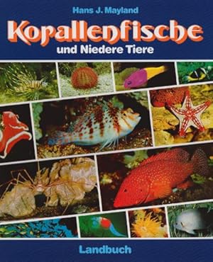 Korallenfische und niedere Tiere.