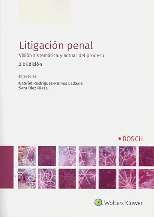 Bild des Verkufers fr Litigacin penal 2019. Visin sistemtica y actual del proceso zum Verkauf von Vuestros Libros