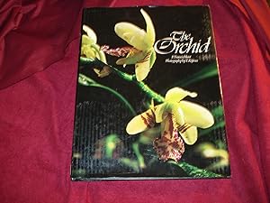 Seller image for The Orchid. for sale by BookMine