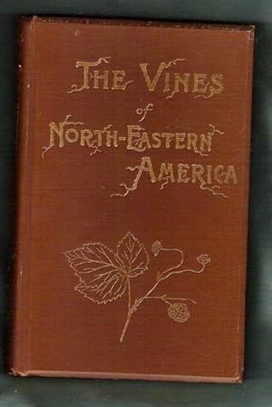 The Vines of North-Eastern America
