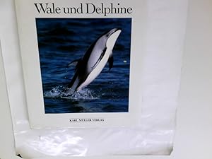 Seller image for Wale und Delphine. for sale by Antiquariat Buchhandel Daniel Viertel