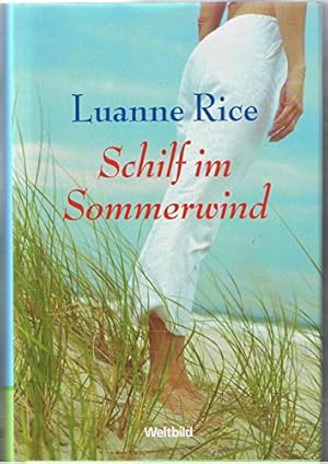 Seller image for Schilf im Sommerwind : Roman. for sale by Antiquariat Buchhandel Daniel Viertel