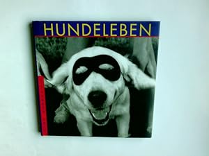 Seller image for Hundeleben. J. C. Suars (Hrsg.). Text von H. D. R. Campbell for sale by Antiquariat Buchhandel Daniel Viertel