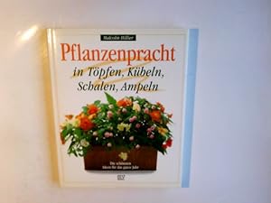 Pflanzenpracht in Töpfen, Kübeln, Schalen, Ampeln : die schönsten Ideen für das ganze Jahr. Malco...