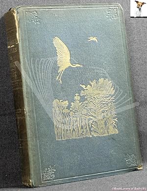 Ornithological Rambles in Sussex: With a Systematic Catalogue of the Birds of That County and Rem...