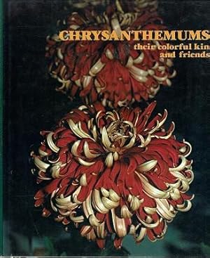 Seller image for Chrysanthemums: Their Colourful Kin And Friends for sale by Marlowes Books and Music