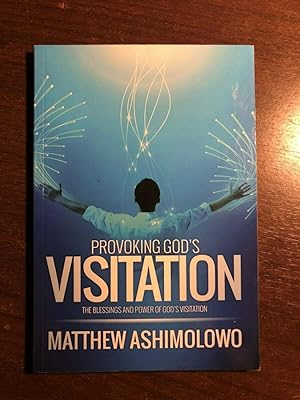 Image du vendeur pour PROVOKING GOD'S VISITATION mis en vente par Happyfish Books